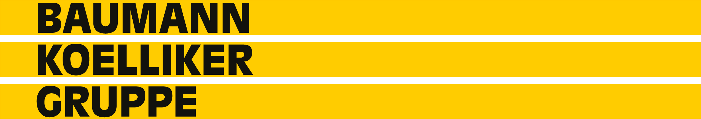 Baumann Koelliker Gruppe